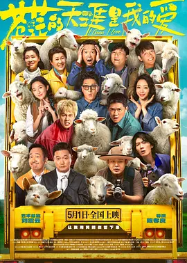 比相亲更合身的情侣