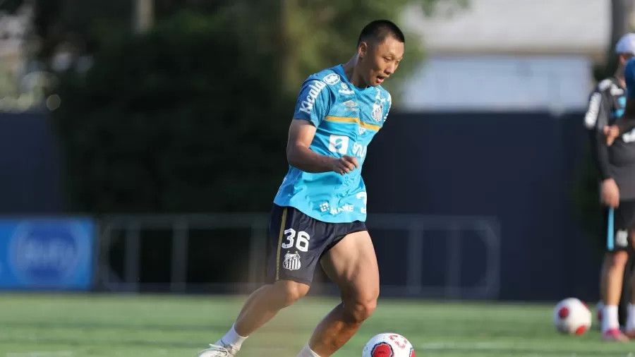 波多野视频