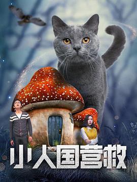 女人的涵养