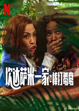 迷人的猫老师