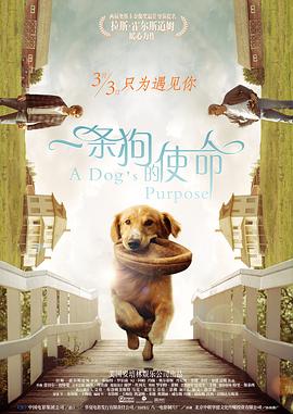 久久9热
