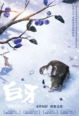 权威解读