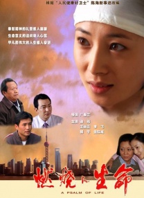 桃乃木香奈中文字幕