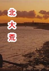 欧美日韩高清在线观看