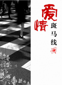 插菊花网
