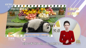 恋夜福利